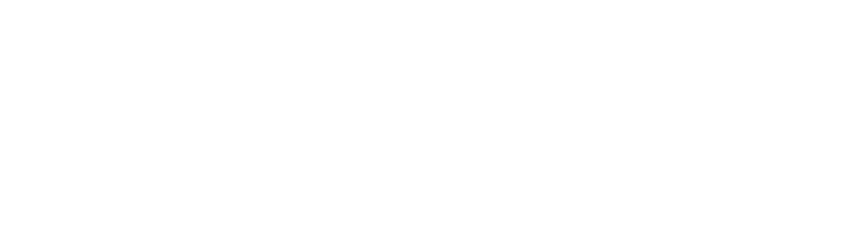 IpnoExperience